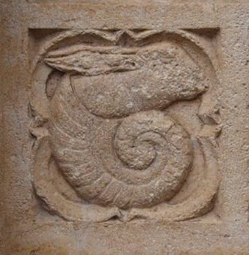 Motif ammonite Cathédrale St Jean-Baptiste Rognée